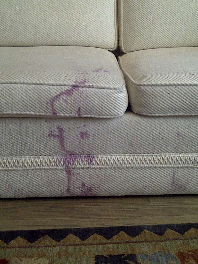 Guardsman® Furniture Protection