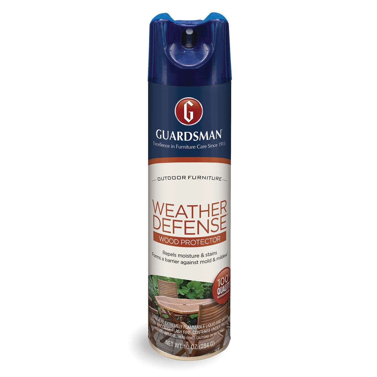 Weather Defense Wood Protector, 10 oz. Aerosol