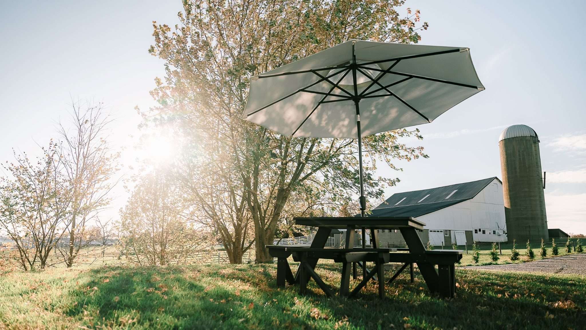 Park Square Picnic Table