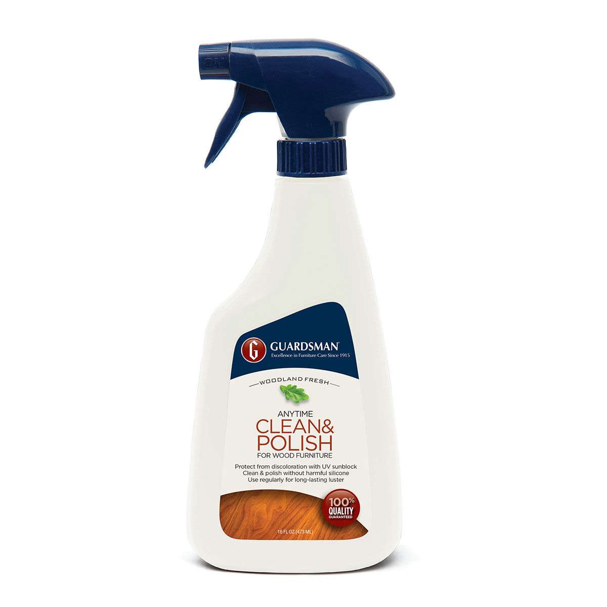 Anytime Clean & Polish , 16 fl. oz.